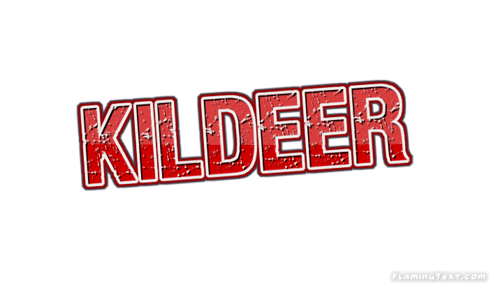 Kildeer 市