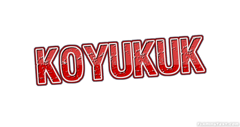 Koyukuk 市