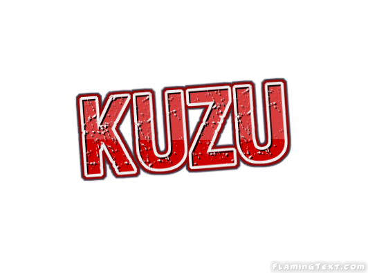 Kuzu 市