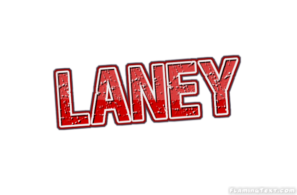 Laney город