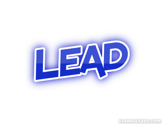 Lead Ciudad