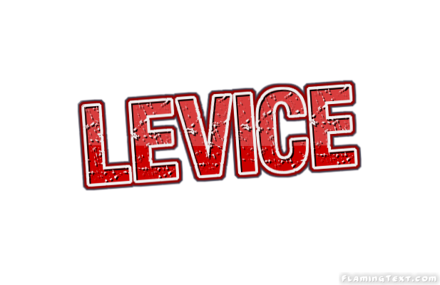 Levice City