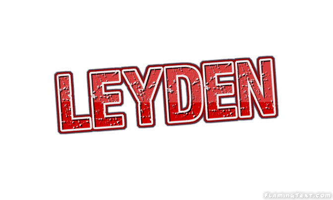 Leyden City