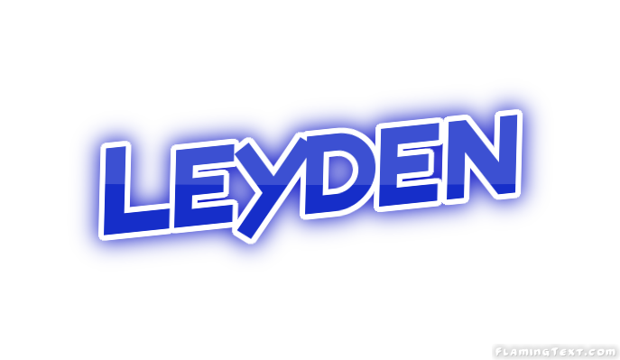 Leyden City