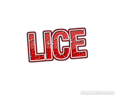 Lice City