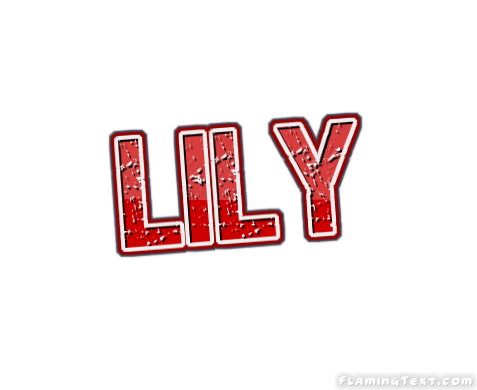 Lily Cidade