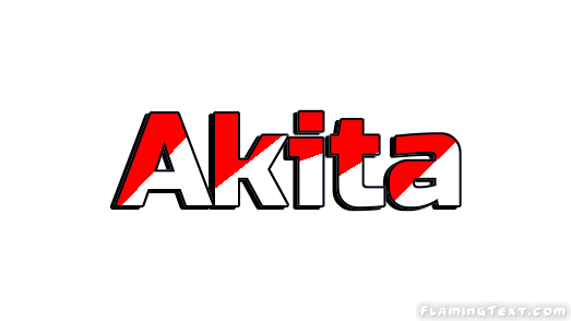 Akita Stadt