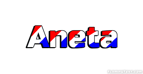 Aneta 市