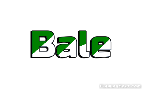 Bale مدينة