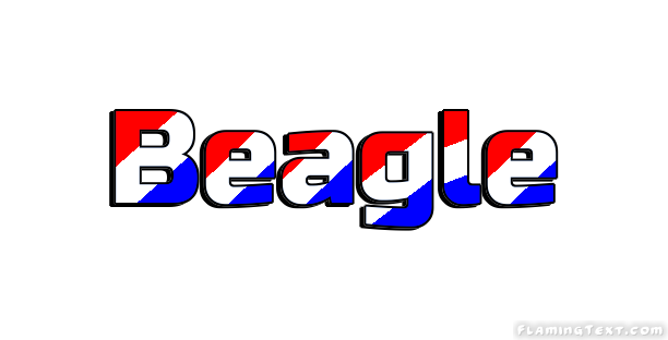 Beagle 市