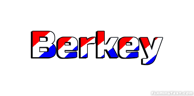 Berkey 市