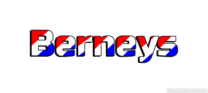 Berneys 市