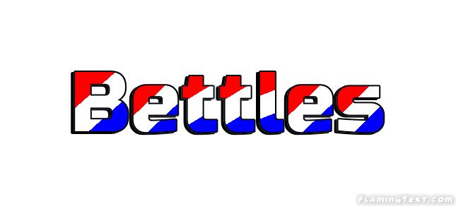 Bettles City