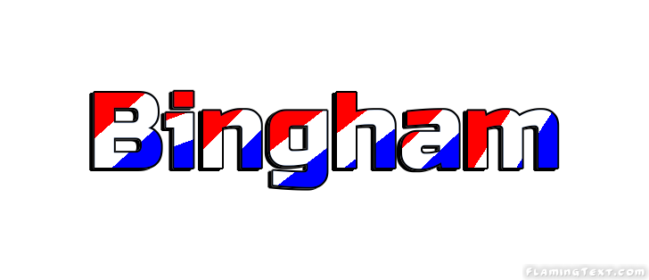 Bingham 市