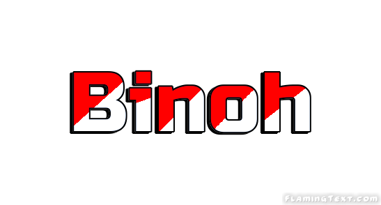 Binoh 市