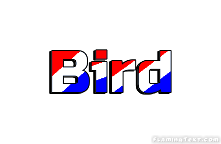 Bird Ciudad
