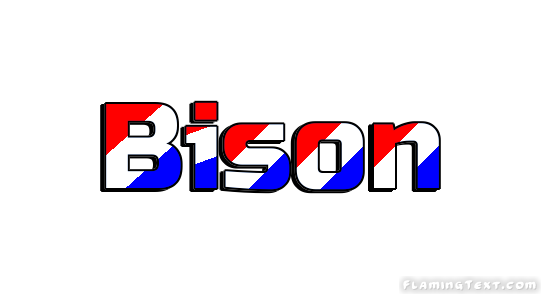 Bison Ville