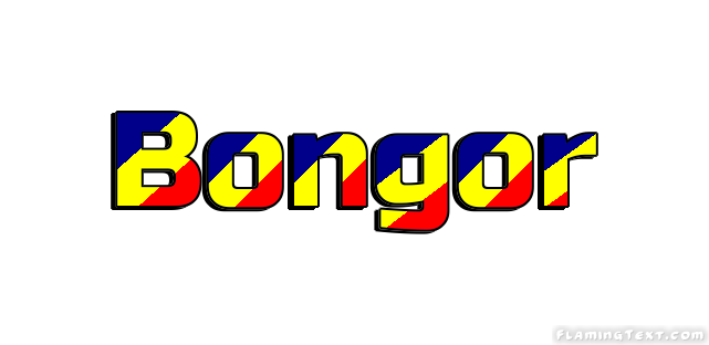 Bongor City