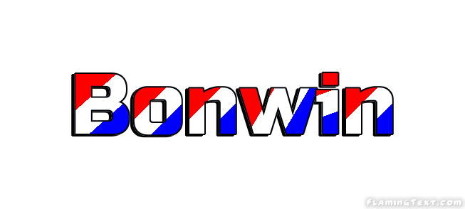 Bonwin 市