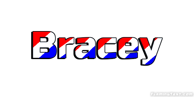 Bracey Ville