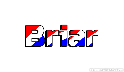 Briar 市