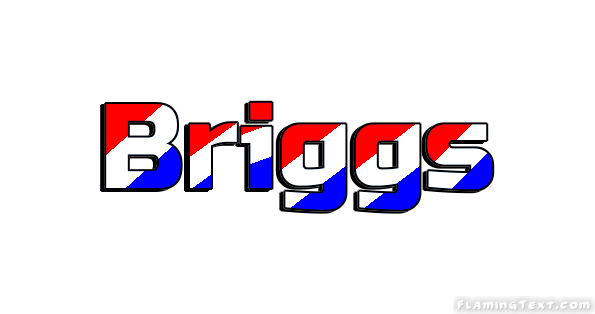 Briggs 市