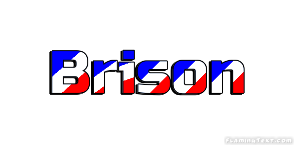 Brison 市