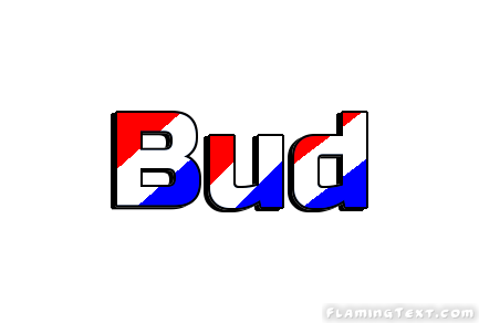 Bud город