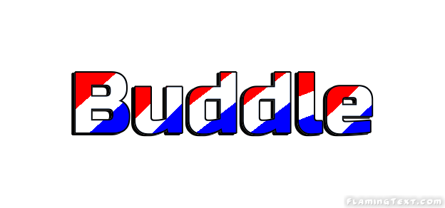 Buddle City
