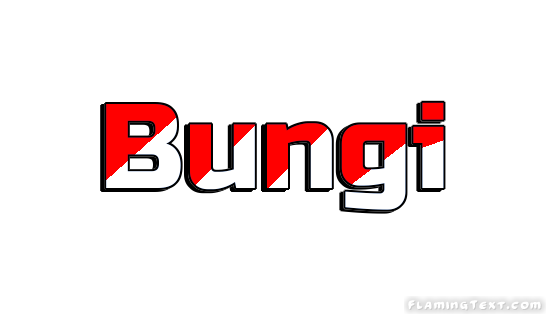 Bungi City