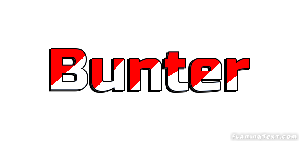 Bunter City