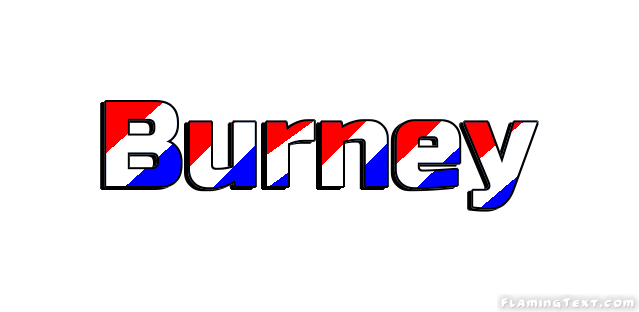 Burney город