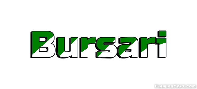 Bursari 市