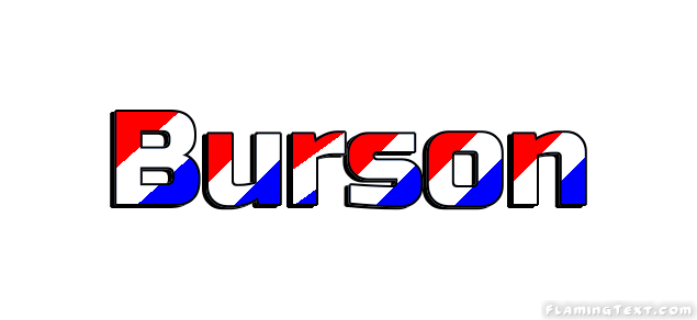 Burson 市