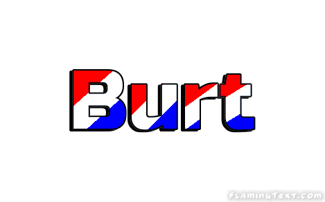 Burt مدينة