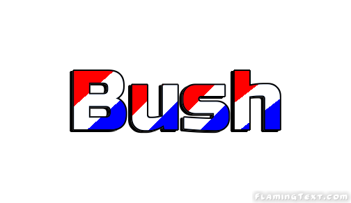 Bush مدينة