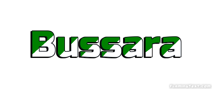 Bussara City