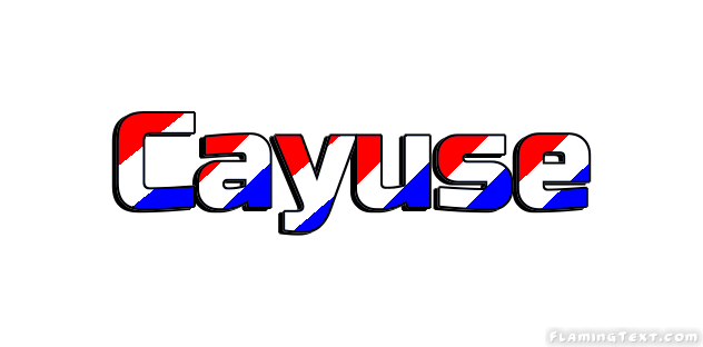 Cayuse 市