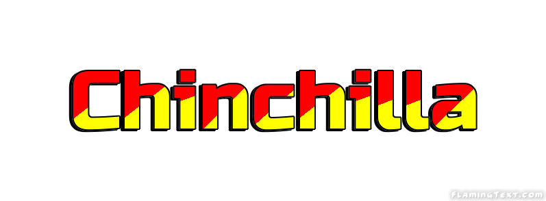 Chinchilla City