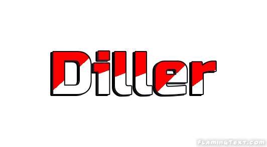 Diller 市