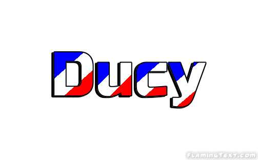Ducy 市