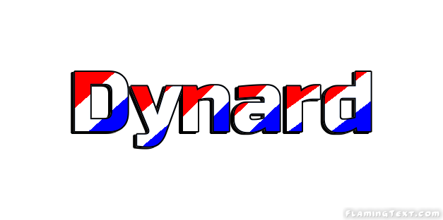 Dynard город