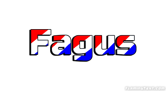 Fagus 市