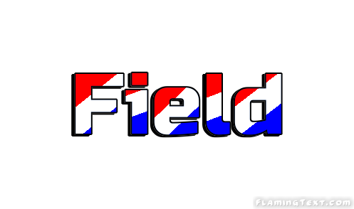 Field 市