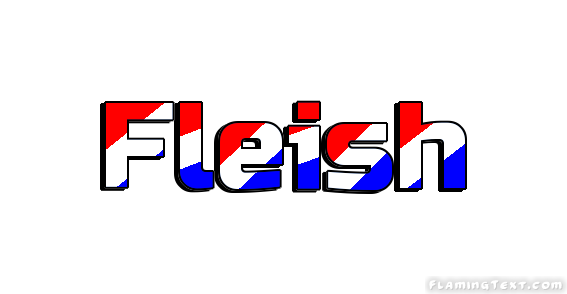 Fleish City
