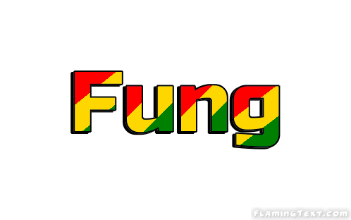 Fung город