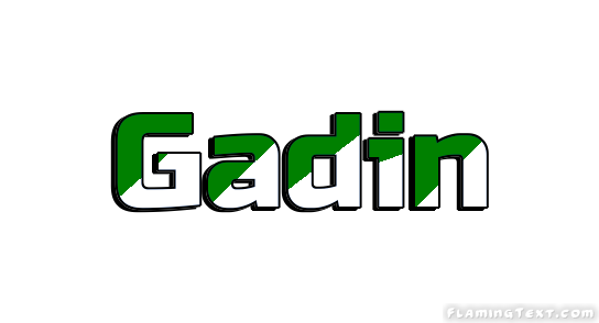 Gadin 市