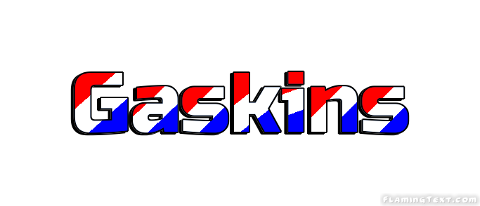 Gaskins 市