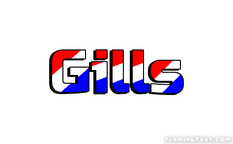 Gills City