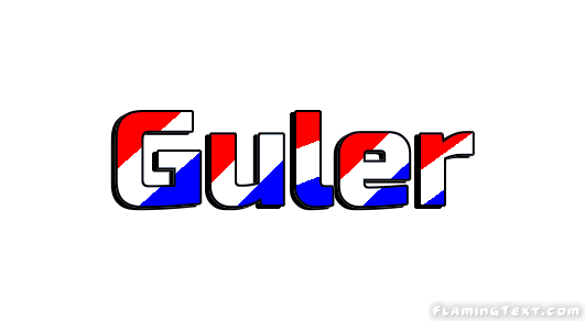 Guler City